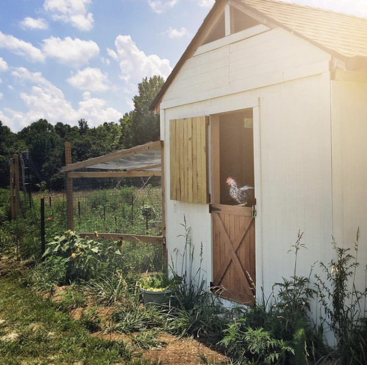 chicken coop