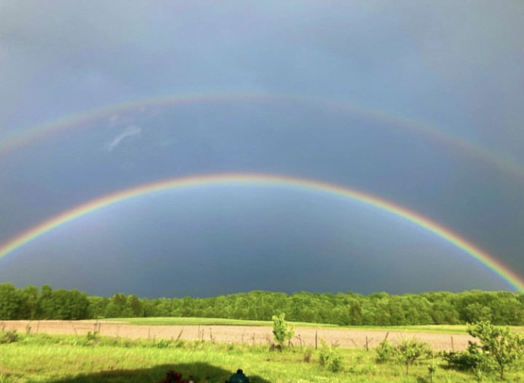 Rainbow over the fields