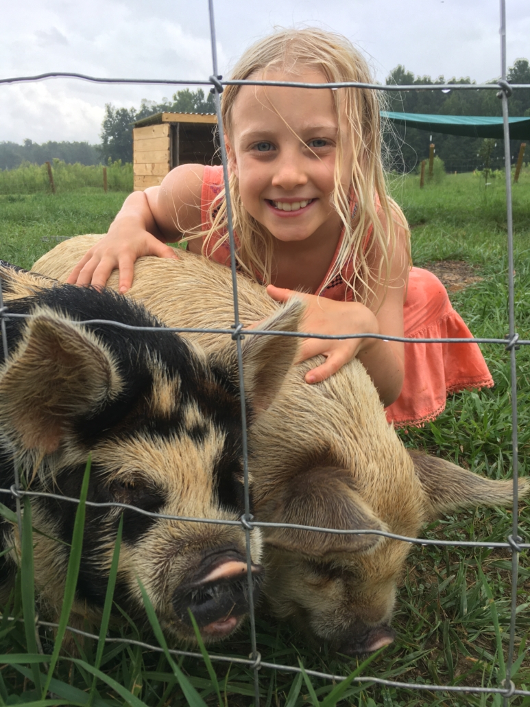 Pippa hanging out with the pigs in 2020