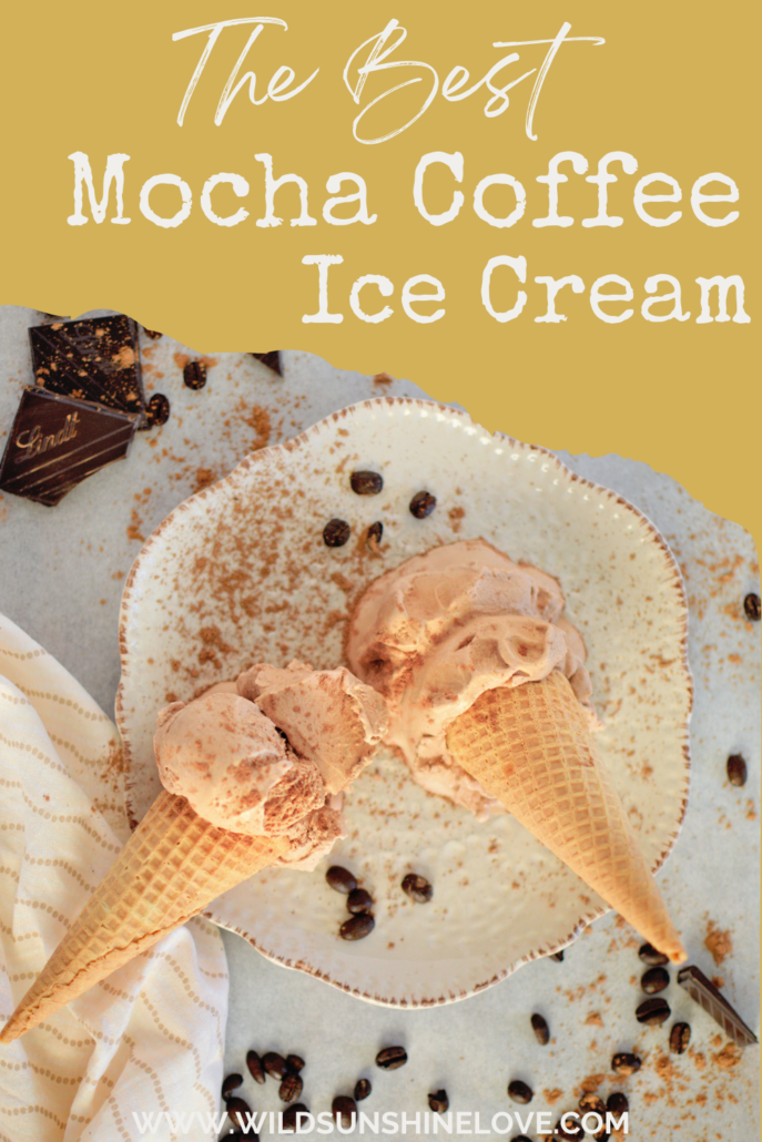 Creamy homemade mocha coffee ice cream