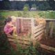 Farm life and chickens