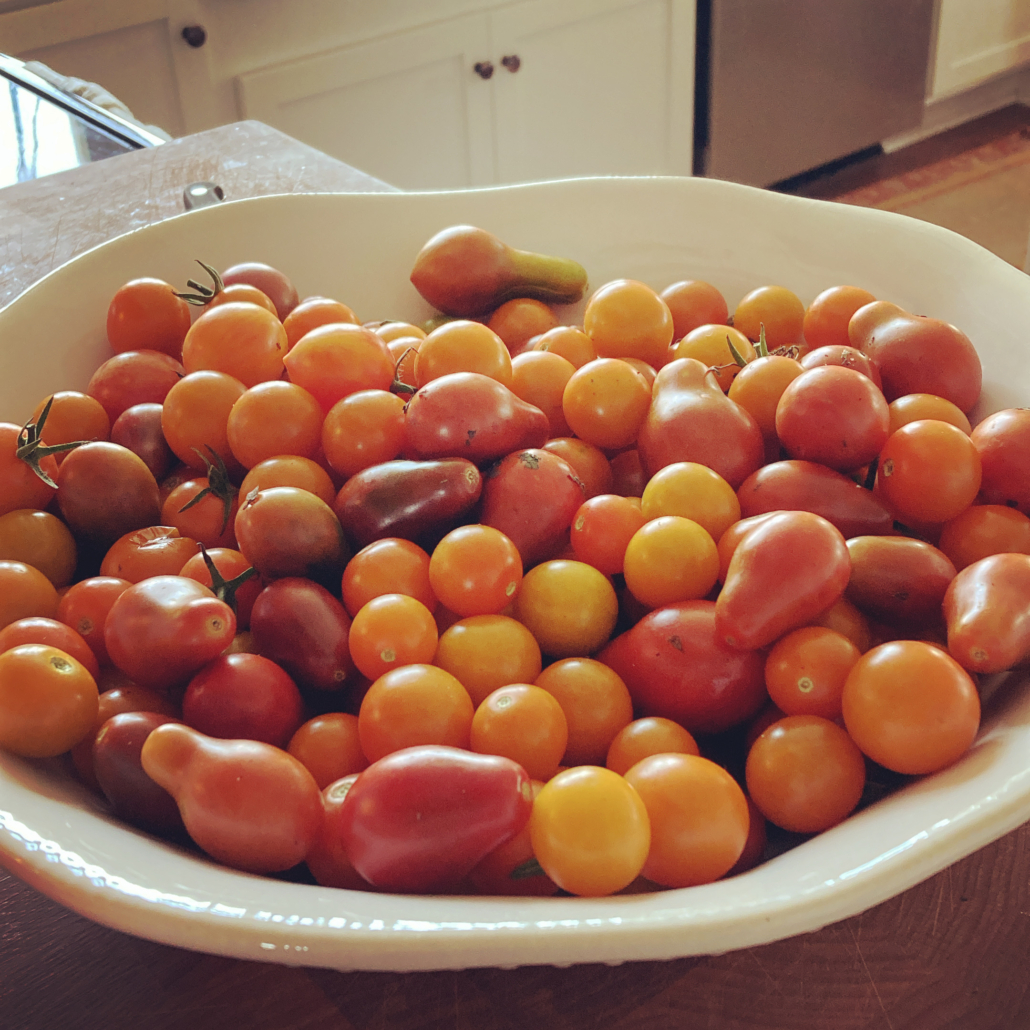 Bowl of tomatoes