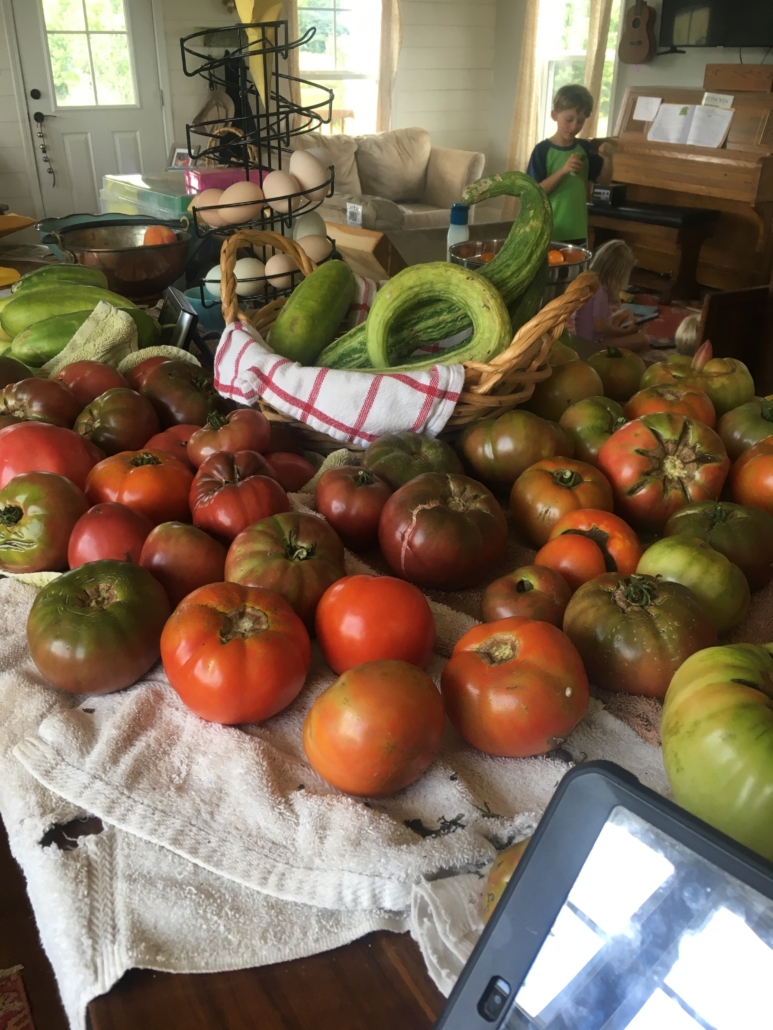 Tomatoes and peppers from the garden