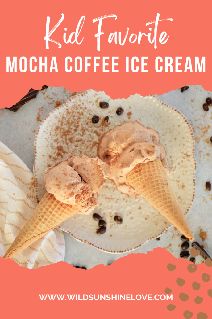 Creamy homemade mocha coffee ice cream