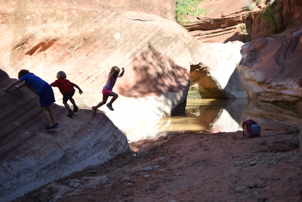 Utah Parks Red Reef Trail