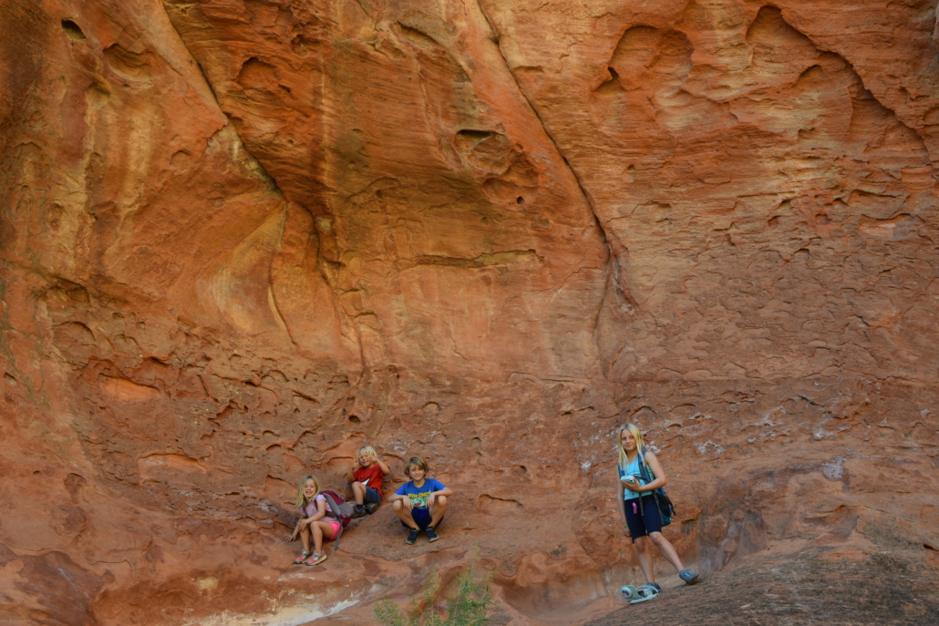 Utah Parks Red Reef Trail