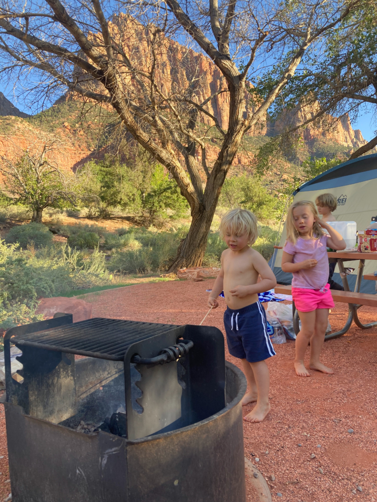 Zion camping