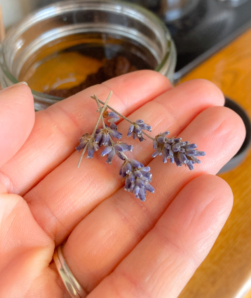 lavender buds