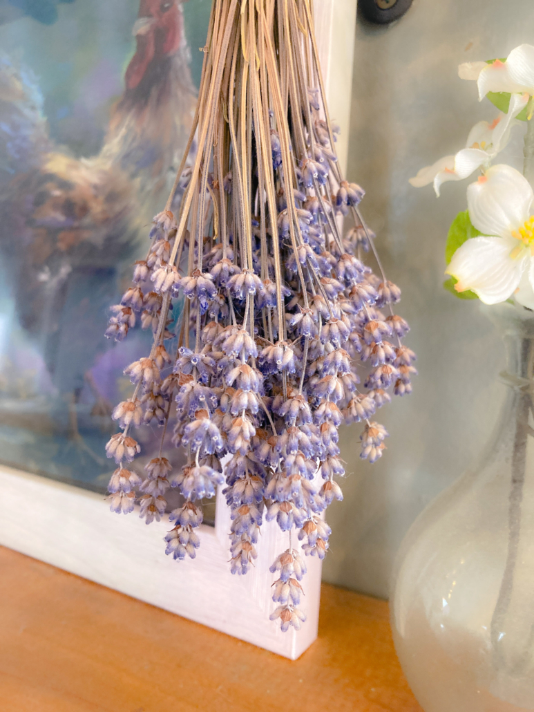 dried lavender